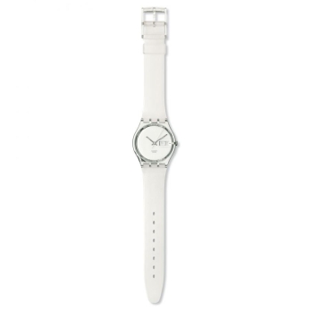 SWATCH GK733