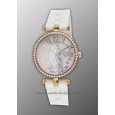 PRESTIGE COLLECTION 8161L-1-GG PRESTIGE COLLECTION 8161L-1-GG