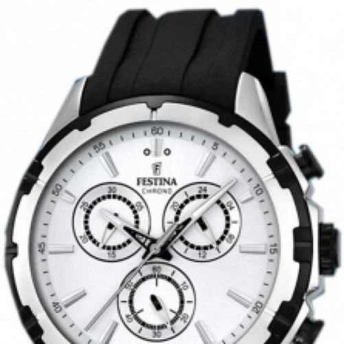 FESTINA F16838/1