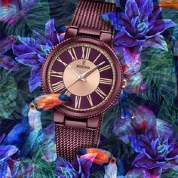 FESTINA F16966/1