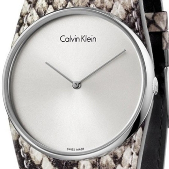 Montre femme CALVIN KLEIN - K5V231L6 | Chichkhane