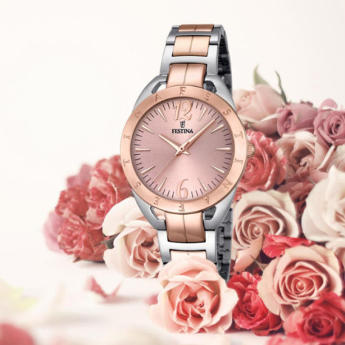 FESTINA F16933/2