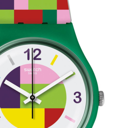 SWATCH GG224