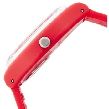 SWATCH GR404