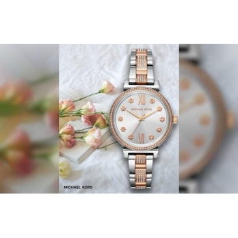 Montre femme MICHAEL KORS - MK3880 | Chichkhane