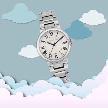 CERRUTI CRWM25501
