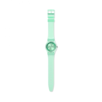 SWATCH GG225