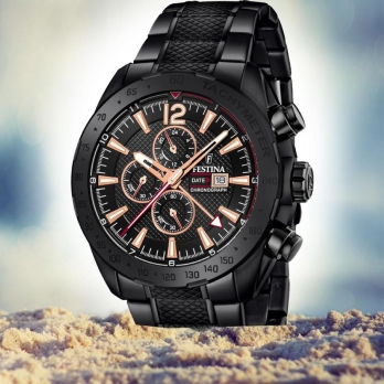 FESTINA F20493/1