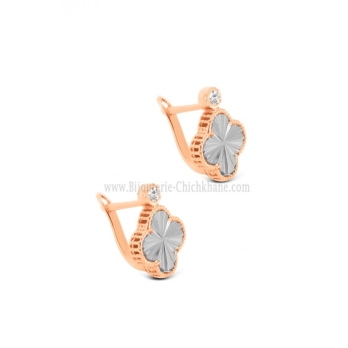 Boucles D'oreilles Zircon 62956