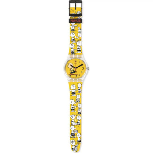 SWATCH SO29Z101